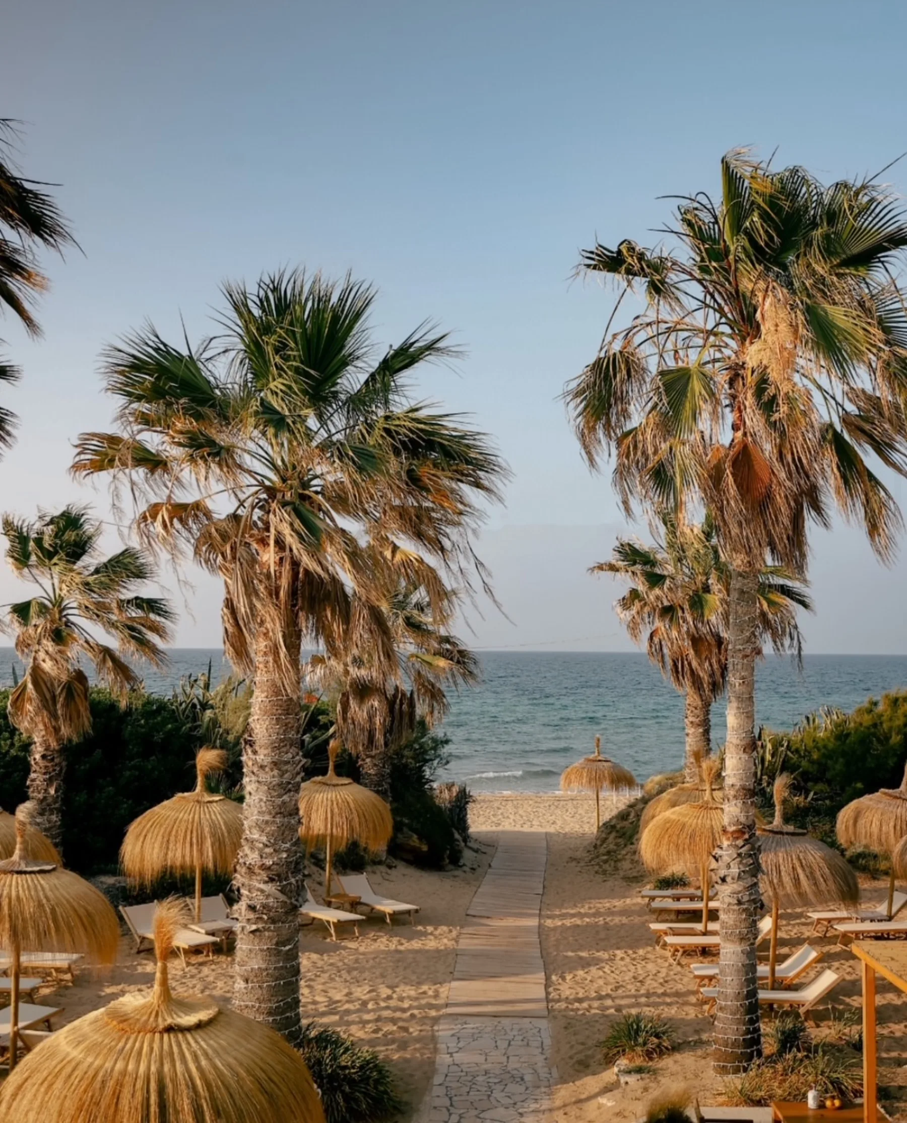 Palm-lined path to the beach club at Masseria Calderisi, thatched parasols above the Adriatic